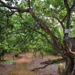 dsc_7778_1_1-213626_283-065706