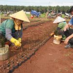 dsc06503-134659_996-084527