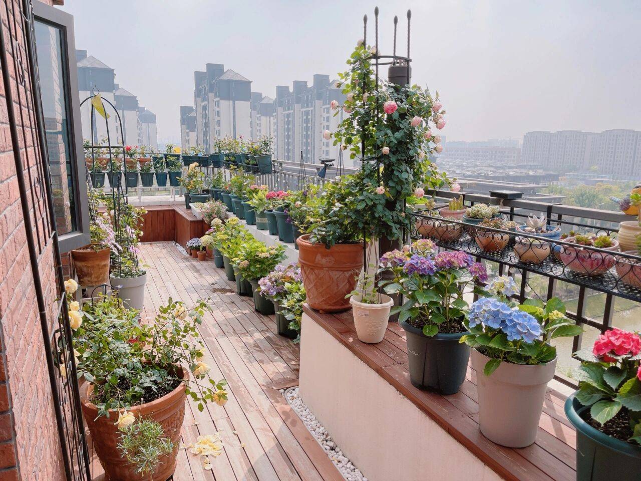 5 Mẹo Chuyên gia giúp Bảo vệ Sàn gỗ khỏi Chậu cây (Tránh phồng rộp, ố vàng)