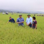 z7023215988249_7012c5691ad35aa7182f0baa1c0e611c-083154_501-074509