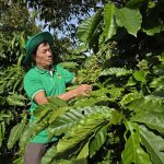 z7157081101714_a78e2adb84920ae90d7fc8a2702488e3-152022_701-000127