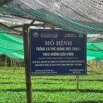 1223-100645_682-163459