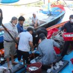 Ứng Dụng Công Nghệ Truy Xuất Nguồn Gốc: Hướng Đi Bền Vững Cho Nghề Cá Quảng Ngãi img_5869-145527_175-212630