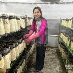 khoa-hoc-cong-nghe-la-nen-tang-phat-trien-nong-nghiep-hien-dai-154205_872-154205