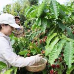 z7162664110596_cce4ba4222acbd27c1043f6e4468cd46-090858_591-133614