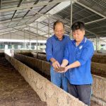 anh-1-055746_669-201324