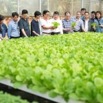 dsc00774-202431_770-143034