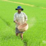 anh-1-150405_337-150407-085048