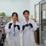 Bạt Phủ Sinh Học: Giải Pháp Xanh Cho Canh Tác Nông Nghiệp Bền Vững bat-phu-sinh-thai-3-065232_315-065233-170651