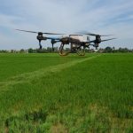 may-bay-223016_293-083411