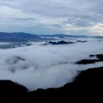 Bảo Tồn Nguồn Gen Tại Nghệ An: Hướng Đi Bền Vững Cho Đa Dạng Sinh Học Và Cây Cản tay-nghe-an-031840_22-084154