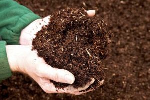 Compost – bổ sung chất hữu cơ