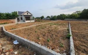 Có nên dùng đất vườn nguyên chất để trồng cây trong chậu?