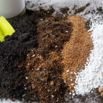 Đất trồng cây nên có những thành phần gì? Cách phối đất cho cây trồng chậu