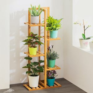 Các bước chăm cây mới mua trong tuần đầu 